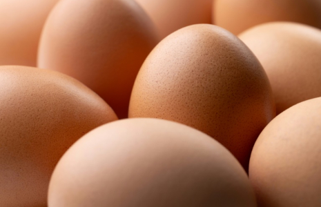 L'interprofession des oeufs s'inquiète d'importations d'Ukraine par les distributeurs